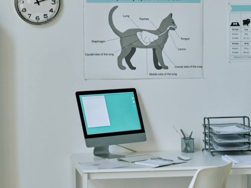 veterinary-office-computer-solutions