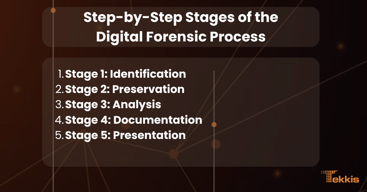 Step By Step Stages of the Digital Forensic Process