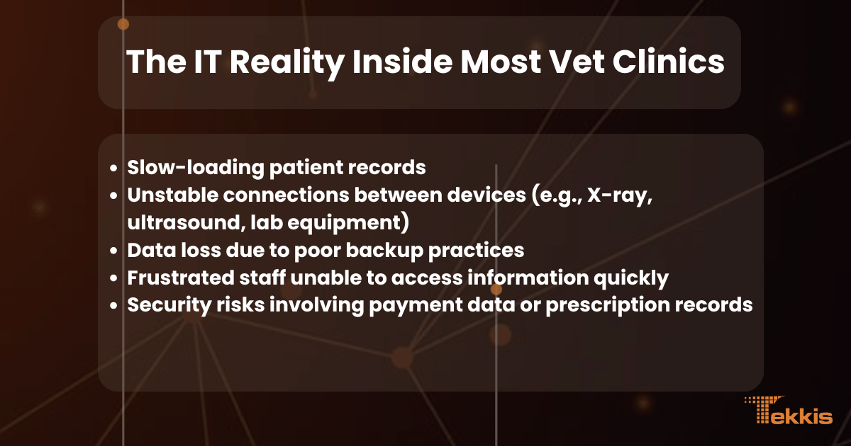 it-reality-vet-clinics