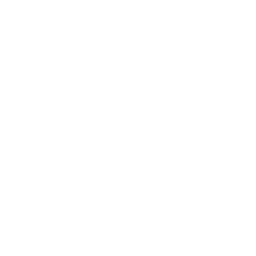 cyber-riskicon