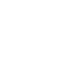 consultant_icon