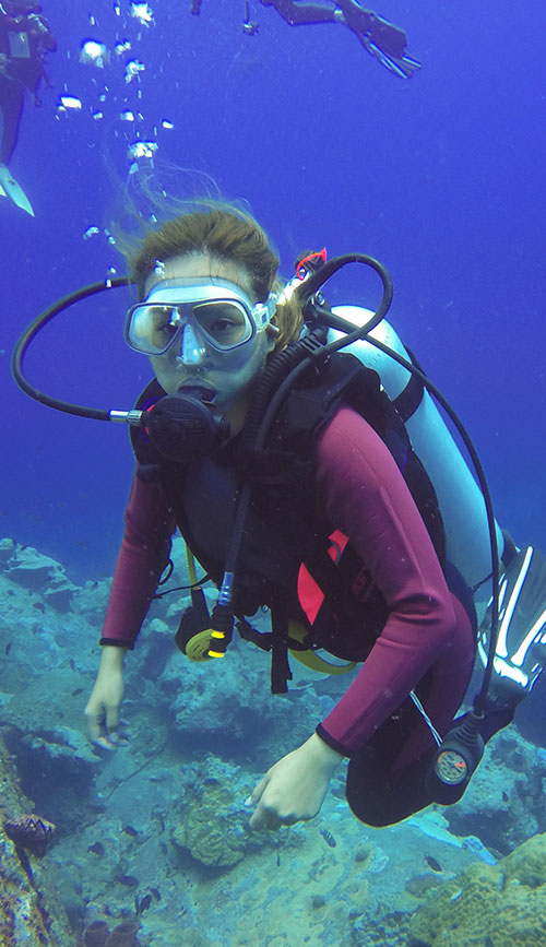 dive-solution